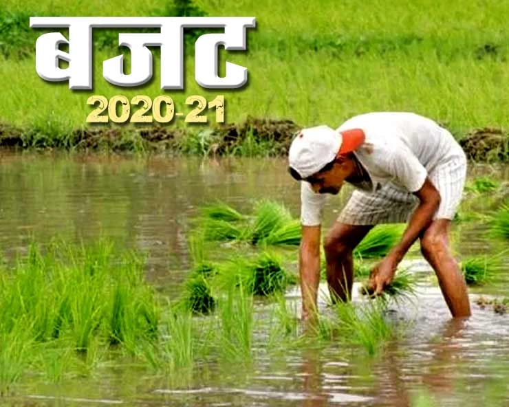 विमान से जाएगा किसानों का सामान, budget 2020 में निर्मला सीतारमण ने पेश किया 16 सूत्री प्लान