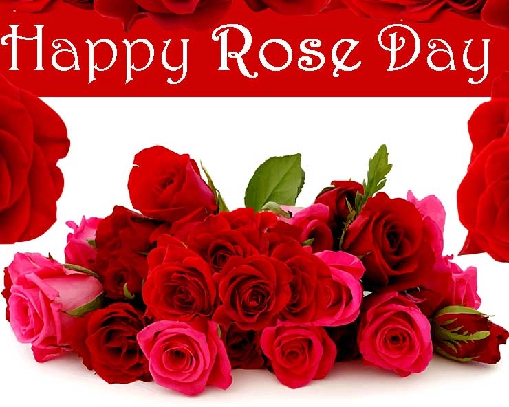 Rose Day - આવો જાણીએ દરેક રંગના ગુલાબ પાછળ છુપાયેલો મતલબ
