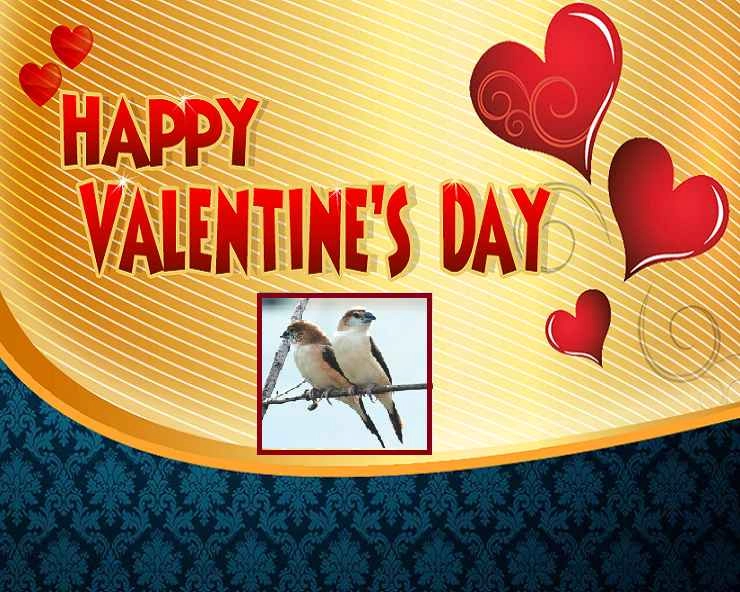व्हॅलेंटाईन डे मराठी शुभेच्छा Valentine Day Wishes In Marathi