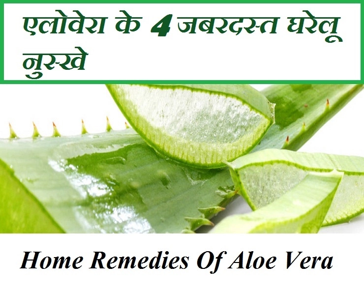 क्या आप जानते हैं Aloe Vera के 4 जबरदस्त फायदे