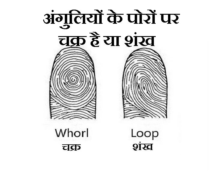 अंगुलियों के पोरों पर बने चक्र से जानिए अपना भविष्य, 16 रोचक जानकारी - chakra in fingers