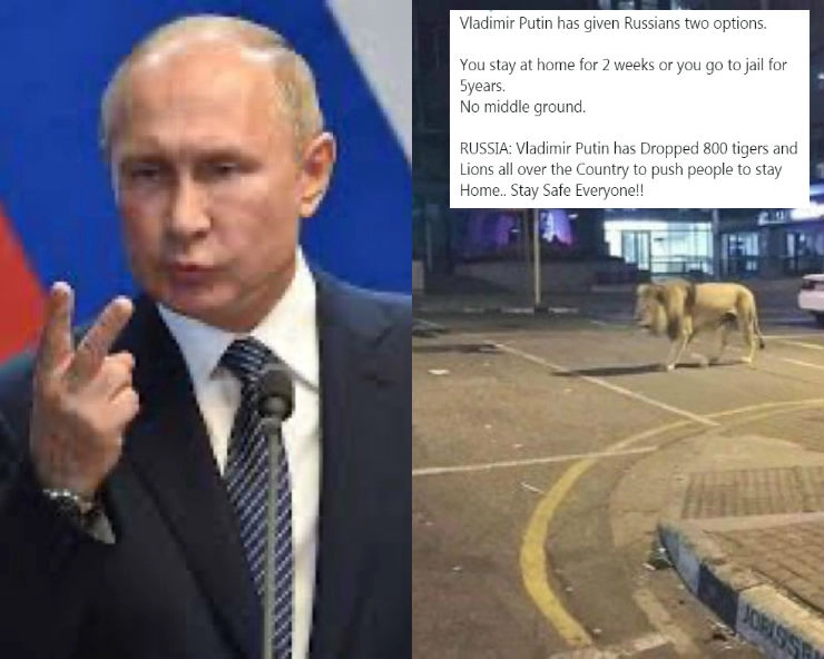 Coronavirus: क्या रूस के राष्‍ट्रपति पुतिन ने लोगों को घरों में बंद रखने के लिए सड़कों पर छोड़े 800 शेर और बाघ...जानिए सच... - Social media claims Putin has unleashed 800 lions and tigers on Russian streets to enforce Corona lockdown, fact check