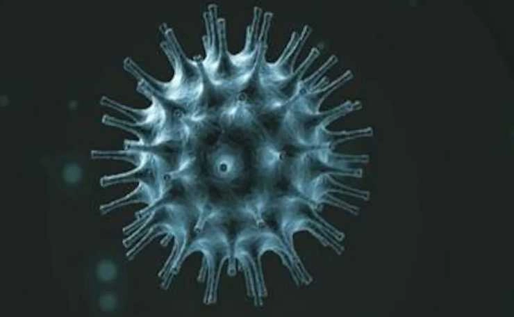 Corona virus | पंजाब में Corona virus के संक्रमण से 65 वर्षीय मरीज की मौत, मृतक संख्या 4 पहुंची