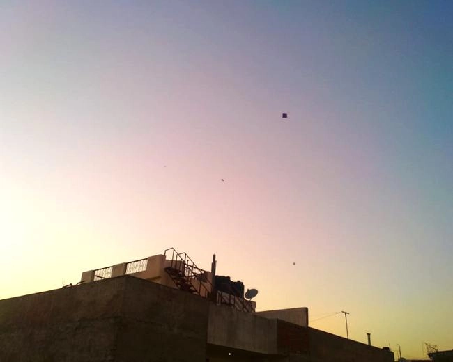 Corona के खिलाफ वेबदुनिया की पहल, जयपुर के आसमान में दिखी कम पतंगें... - Corona in Rajasthan