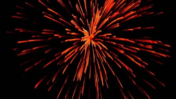 NGT ने पटाखों की बिक्री व इस्तेमाल पर पूर्ण प्रतिबंध का दिया निर्देश - NGT directs complete ban on sale and use of firecrackers