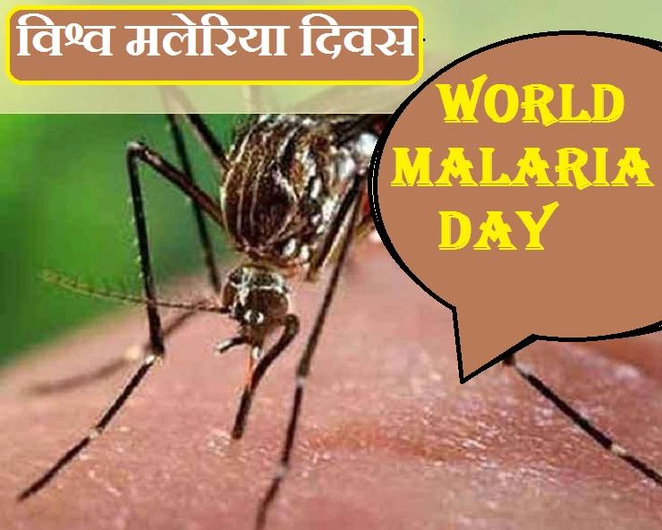 World Malaria Day : कब और क्यों मनाया जाता है विश्व मलेरिया दिवस, जानें लक्षण, बचाव और उपाय