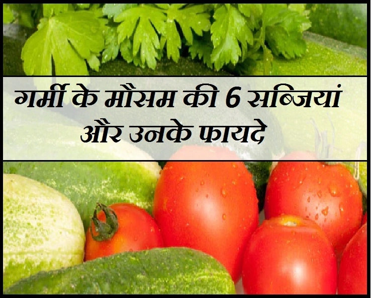 Summer Health Tips : गर्मी में ये 6 सब्जियां देंगी सेहत लाभ - Health Benefit Of Summer Vegetables