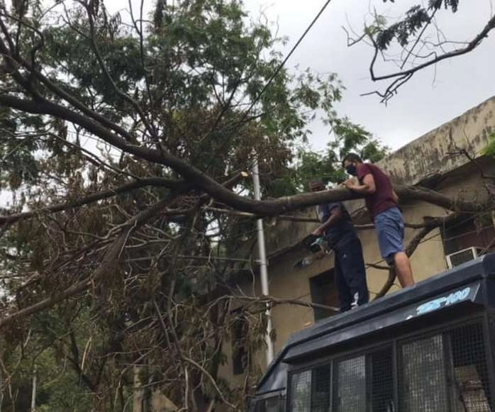 अम्फान चक्रवात के एक सप्ताह बाद कोलकाता में फिर आया तूफान, कई पेड़ गिरे