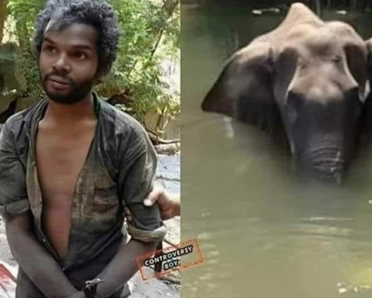 जानें, गर्भवती हथिनी की हत्या के लिए जिम्मेदार शख्स की वायरल तस्वीर का पूरा सच... - Social media shares a man pic as the killer of pregnant elephant in Kerala , fact check