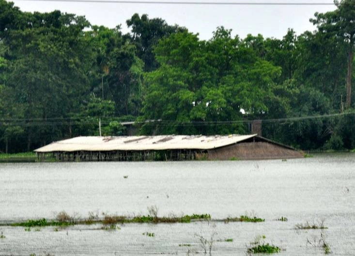 असम में बाढ़ का तांडव जारी, 5 की मौत, 36 लाख लोग प्रभावित - Flood situation continues in Assam, 5 killed, 36 lakh people affected