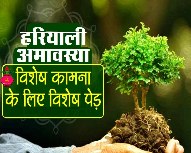 Hariyali Amavasya 2020 : शुभ होता है पौधारोपण, विशेष कामना के लिए लगाएं विशेष पेड़ - Hariyali amavasya 2020