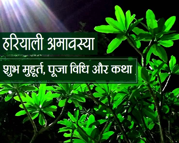 हरियाली अमावस्या का शुभ मुहूर्त, पढ़ें पूजा विधि और व्रत कथा - Hariyali amavasya 2020 muhurat vrat katha