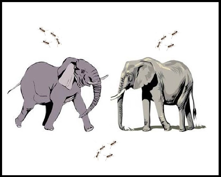 मजेदार कविता : ताली खूब बजाएंगे - Elephant and Ant Poem