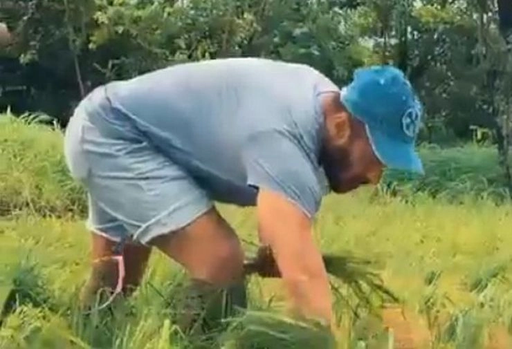 सलमान खान कर रहे हैं चावल की खेती, 'बिग बॉस 2020' से लौटेंगे छोटे पर्दे पर