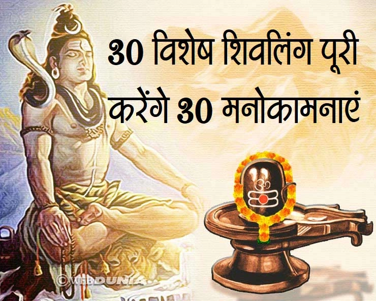भादौ मास में 30 मनोकामनाओं की पूर्ति करेंगे 30 विशेष शिवलिंग - shiv pujan
