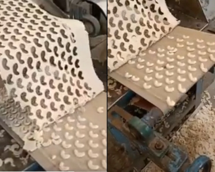 Fact Check: जानें, क्या है नकली काजू बनाने की इस मशीन का पूरा सच - fake cashews making video goes viral, fact check