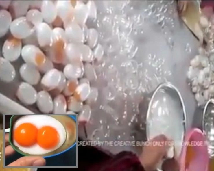 Fact Check: क्या भारत में बिक रहे हैं नकली अंडे? जानिए सच.. - Social media claims Plastic Eggs are In Circulation In Indian Markets, fact check