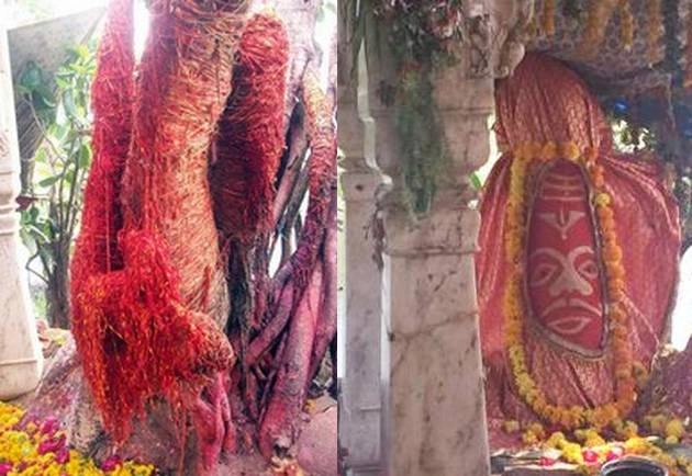 नवरात्रि : माता पार्वती ने लगाया था ये वृक्ष आज भी है सुरक्षित