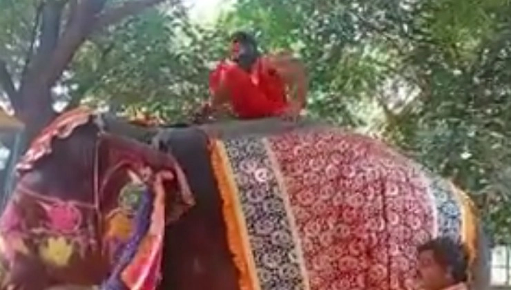 #BabaRamdev : हाथी पर बैठकर योग करते गिरे बाबा रामदेव, सोशल मीडिया पर बना मजाक - baba ramdev falls off elephant while performing yoga watch viral video