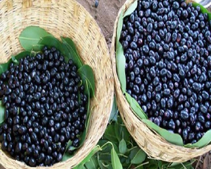 Health care : सेहत के लिए लाभकारी है जामुन के बीज, जानिए फायदे - benefits of berries seeds