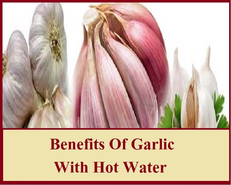 Benefits Of Garlic With Hot Water : गर्म पानी के साथ लहसुन के फायदे