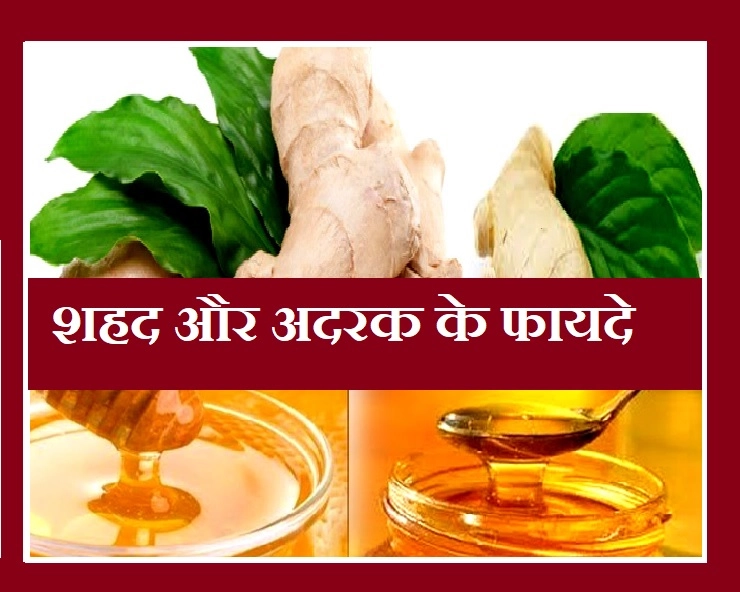 शहद और अदरक के मिश्रण से पाएं गले के दर्द व इंफेक्शन से छुटकारा - Benefits of Ginger And Honey in hindi