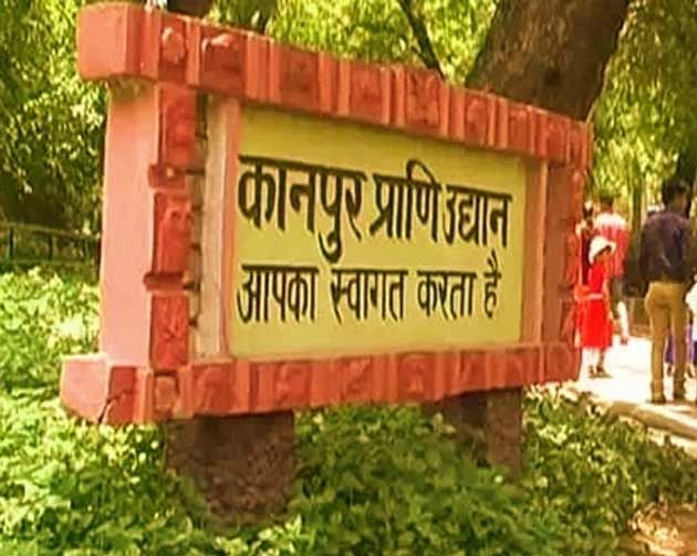 कानपुर प्राणी उद्यान पहुंचा बर्ड फ्लू ,दर्शकों की इंट्री पर लगी रोक... - Bird flu in Kanpur zoo