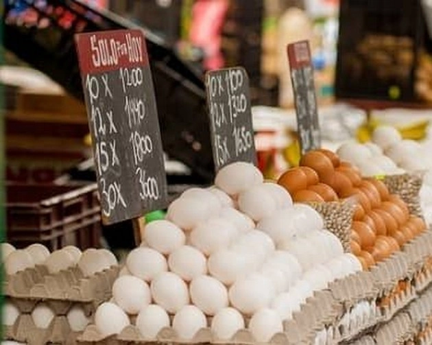 एक किलोमीटर के दायरे में अंडे और चिकन बेचा तो होगी जेल - Bird flu : jail for selling egg and chicken