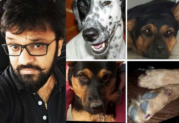 मूक पशुओं में खुशियां ढूंढते हैं गांधीधाम के धवल - Dog lover Dhaval kapta