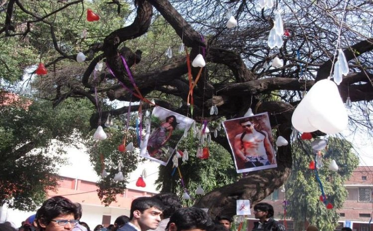 हिंदू कॉलेज के छात्र ‘वर्जिन पेड़’ पर बांधते थे ‘कंडोम’, दावा था प्‍यार मिलेगा, फि‍र एक दिन यह हुआ - virgin tree in delhi