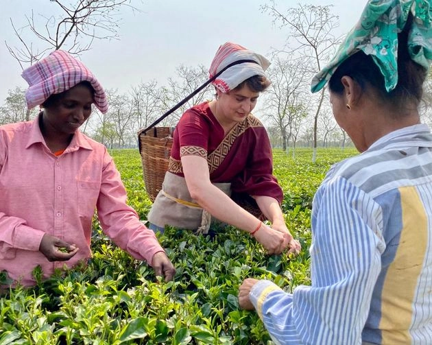 Priyanka Gandhi | विधानसभा चुनाव से पहले 'मिशन असम' पर प्रियंका गांधी, बागान में तोड़ीं चाय पत्‍तियां