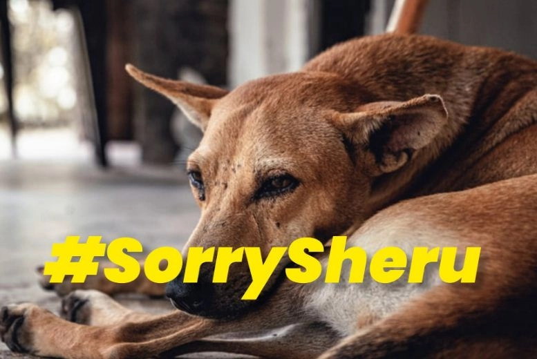 ट्व‍िटर पर ‘सॉरी शेरू’ ट्रेंड कर रहा है, क्‍योंकि इस शख्‍स ने 30 कुत्‍तों को बनाया अपनी हवस का शि‍कार
