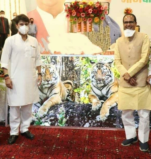 सिंधिया और शिवराज 'मध्यप्रदेश के दो टाइगर एक साथ' ! - Jyotiraditya Scindia and Shivraj two tigers together