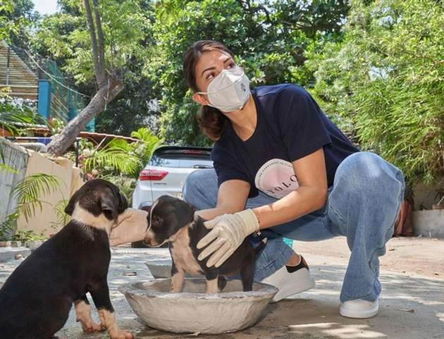 बेजुबानों की मदद के लिए आगे आईं जैकलीन फर्नांडिस, YOLO फाउंडेशन के जरिए आवारा जानवरों तक पहुंचाया खाना