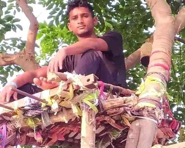 तेलंगाना में Corona पॉजिटिव युवक ने पेड़ पर बनाया ठिकाना