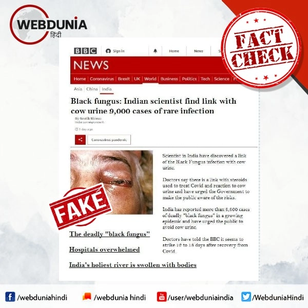 Fact Check: ब्लैक फंगस-गोमूत्र से जुड़ी BBC न्यूज की यह रिपोर्ट फर्जी है - Viral BBC news claims link between black fungus and cow urine, fact check