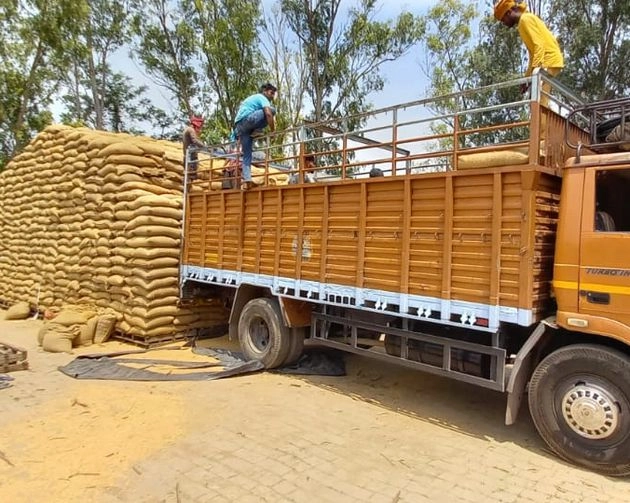 कोविड राहत पैकेज: मई में सरकार ने मदद के लिए खोले हाथ, 55 करोड़ लोगों को दिया मुफ्त राशन - Govt gives free grain to 55 crore