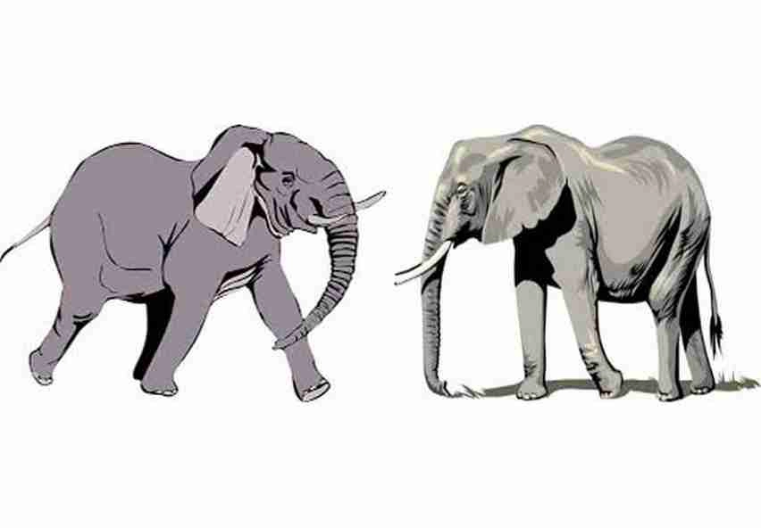 Elephant In Indian Mythology| हाथी के बारे में 10 पौराणिक तथ्‍य, जिसे जानकर चौंक जाएंगे आप