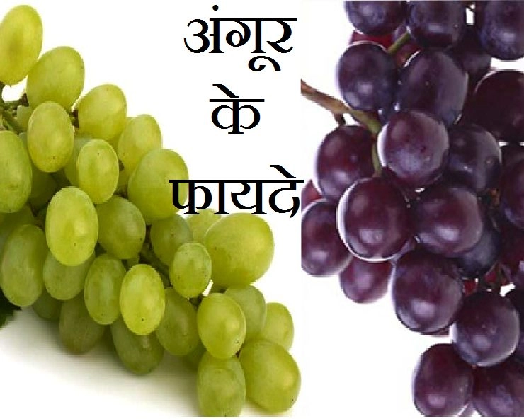 Colorful अंगूर Summer में रखें Cool, Heart Attack  सहित कई रोगों को करें दूर - Benefits of eating grapes in summer