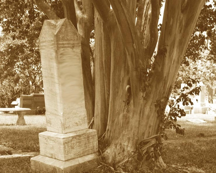 जिंदा इंसानों के लिए ध्वस्त किए जा रहे हैं कब्रिस्तान, बदले जा रहे हैं सदियों पुराने अंतिम संस्कार के अनुष्ठान - the lack of space is changing the age old funeral rituals the practice of tree burial has increased