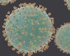 Zombie Virus: आता कोरोनानंतर झोंबी व्हायरसची भीती, रशियातील शास्त्रज्ञांनी 48,500 वर्षे जुन्या झोम्बी व्हायरसला पुन्हा जिवंत केले