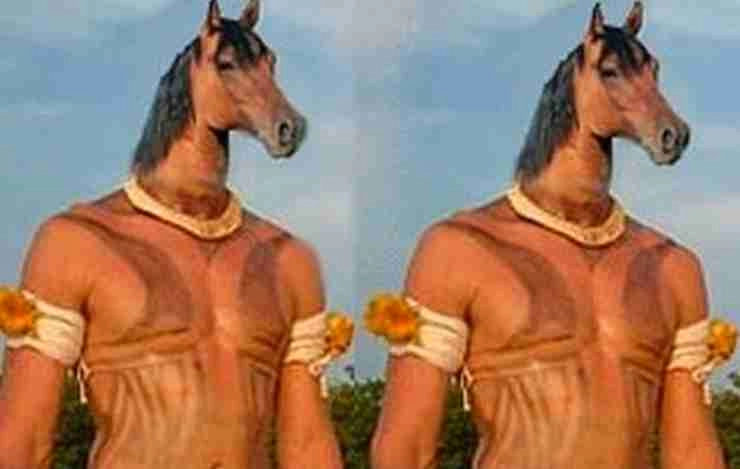 History of horses mane