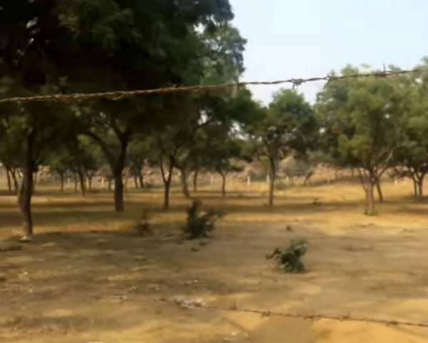 उत्तरप्रदेश के मथुरा में गिरिराज गोवर्धन परिक्रमा पर रोक - Giriraj Parikrama banned in Mathura, Uttar Pradesh