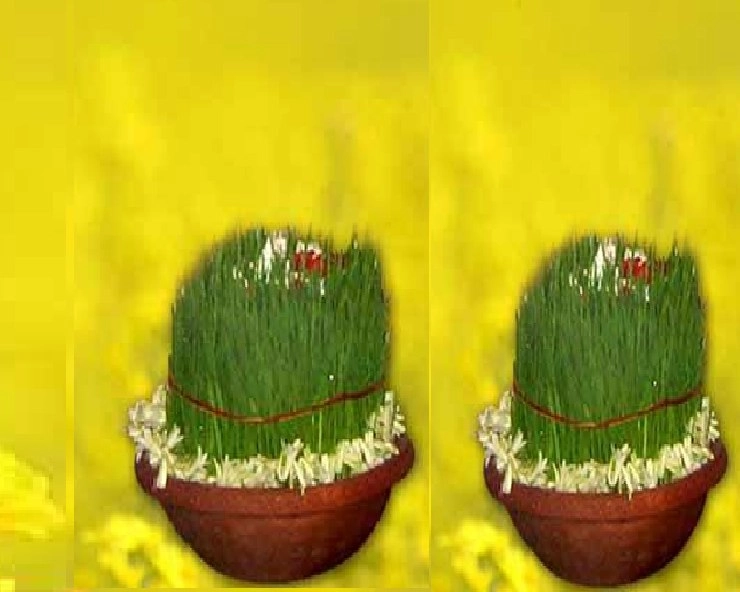 1629717229 3316 नई फसल का प्रतीक कजलियां/ भुजरिया पर्व, जानें क्यों मनाते हैं...