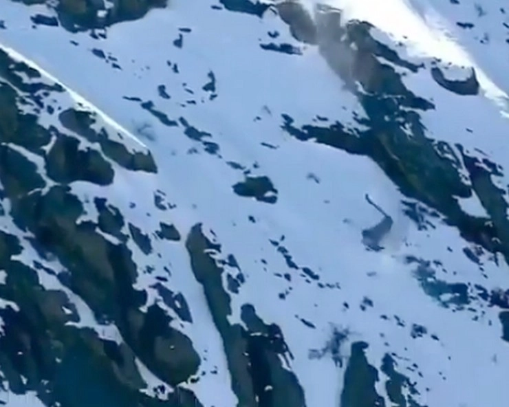 शिकार के लिए हजारों फुट से कूदा हिम तेंदुआ, वीडियो हुआ वायरल