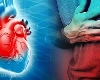 World Heart Day 2022: હાર્ટ ફેલ થતા પહેલા મળી જાય છે આ સંકેતો, ભૂલથી પણ અવગણશો નહીં