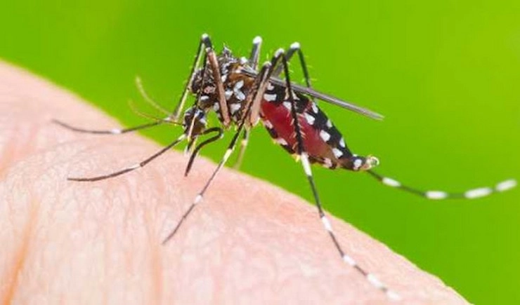 दिल्ली में कोरोना से मिली राहत तो डरा रहा है डेंगू का डंक, सामने आए 120 से ज्यादा मामले - Over 100 dengue cases in Delhi this year