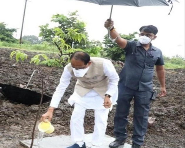 बारिश में पौधे की सिंचाई कर रहे थे शिवराज, सोशल मीडिया पर तस्वीर वायरल - CM Shivraj Singh Chouhan seen watering sapling in rain
