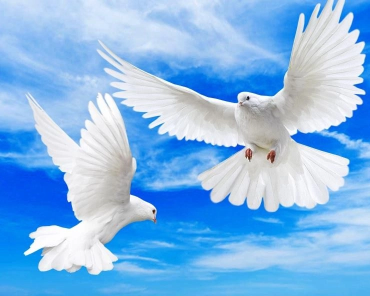 अंतरराष्ट्रीय शांति दिवस : कब और क्यों मनाया जाता है? - International Day Of Peace 2021