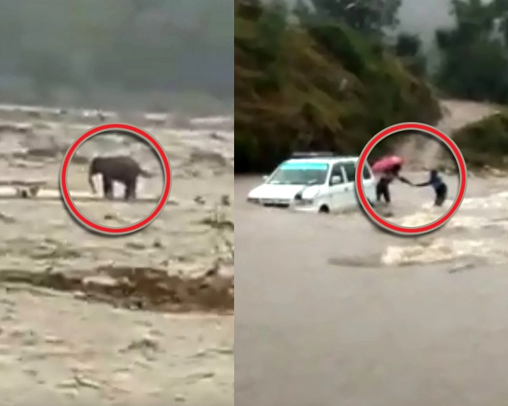उत्तराखंड में आफत की बारिश, 3 कार सवारों को बचाया, हाथी भी पानी में फंसा